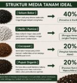 Struktur Media Tanaman Ideal